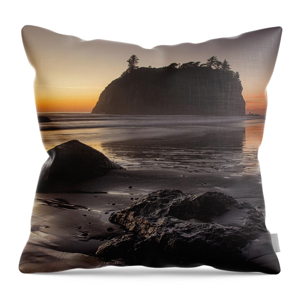 Beach Throw Pillow featuring the photograph Low Tide by Timothy Johnson