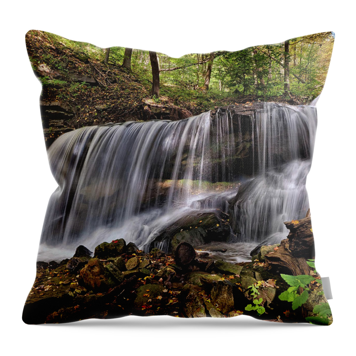 Lower Tews Throw Pillow featuring the photograph Lower Tews Falls by David Dehner