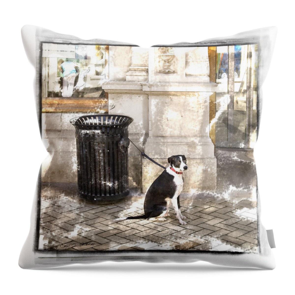 England Throw Pillow featuring the photograph Loyal Dog by Craig J Satterlee