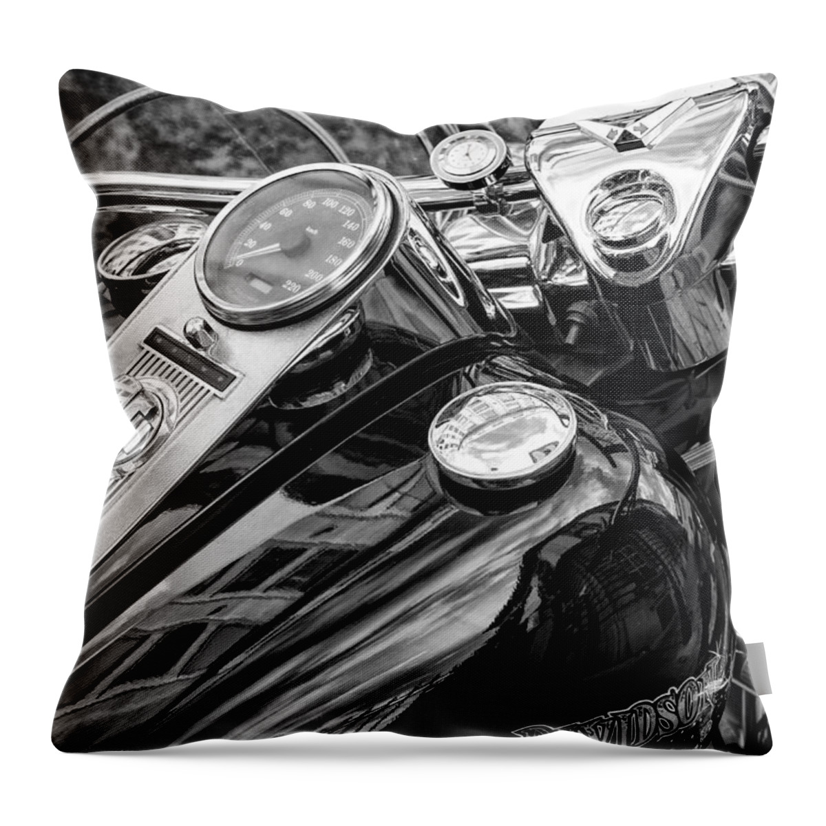 Spirit Throw Pillow featuring the photograph Loyal Friend by Pablo Lopez