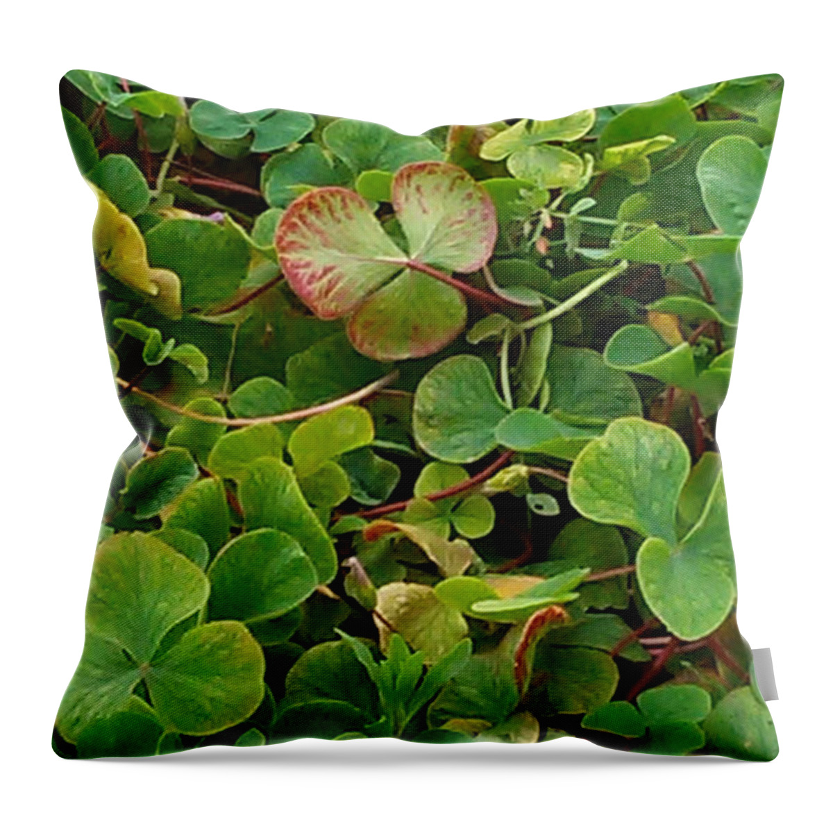 Shamrock Throw Pillow featuring the photograph Lucky Charms by Colleen Cornelius