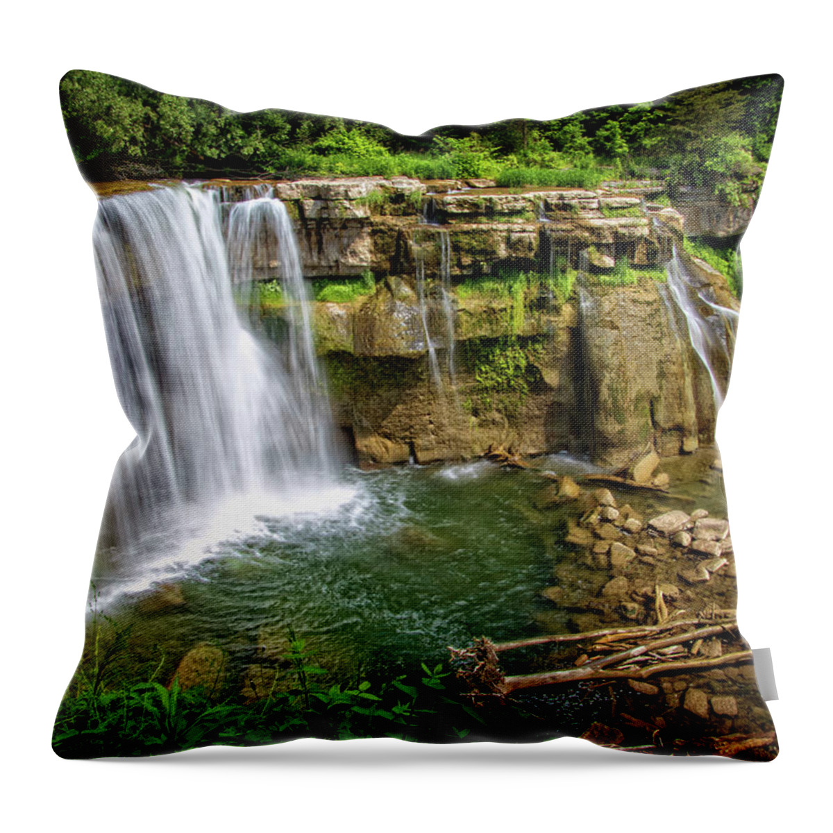 Ludlowville Falls Ny Throw Pillow featuring the photograph Ludlowville Falls NY by Carolyn Derstine