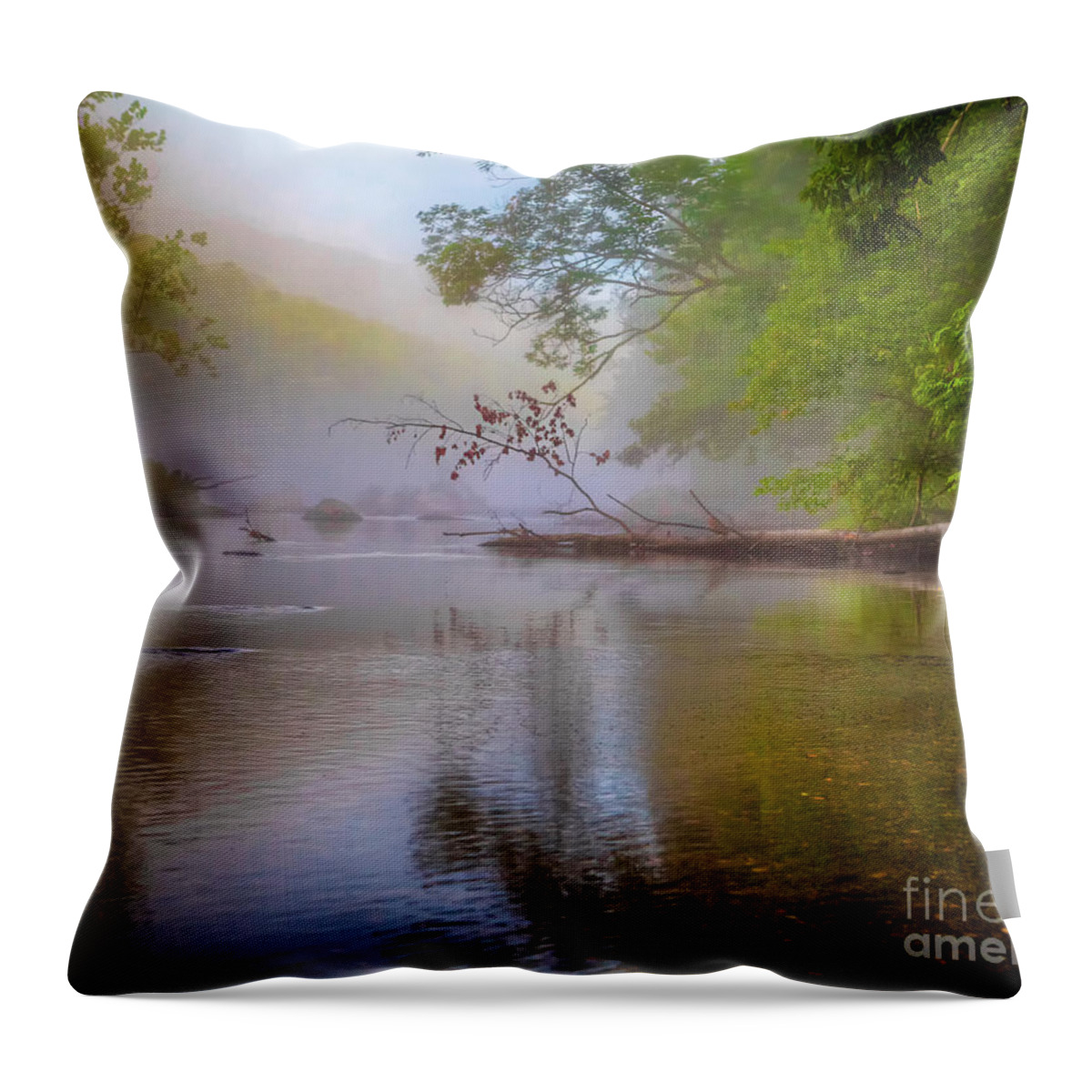 Farmington River Throw Pillow featuring the photograph Luminosity by Tom Cameron