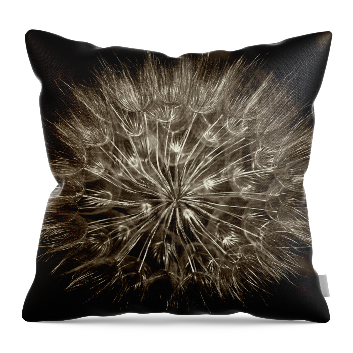 Seed Pod Throw Pillow featuring the photograph Luminous by Elvira Butler