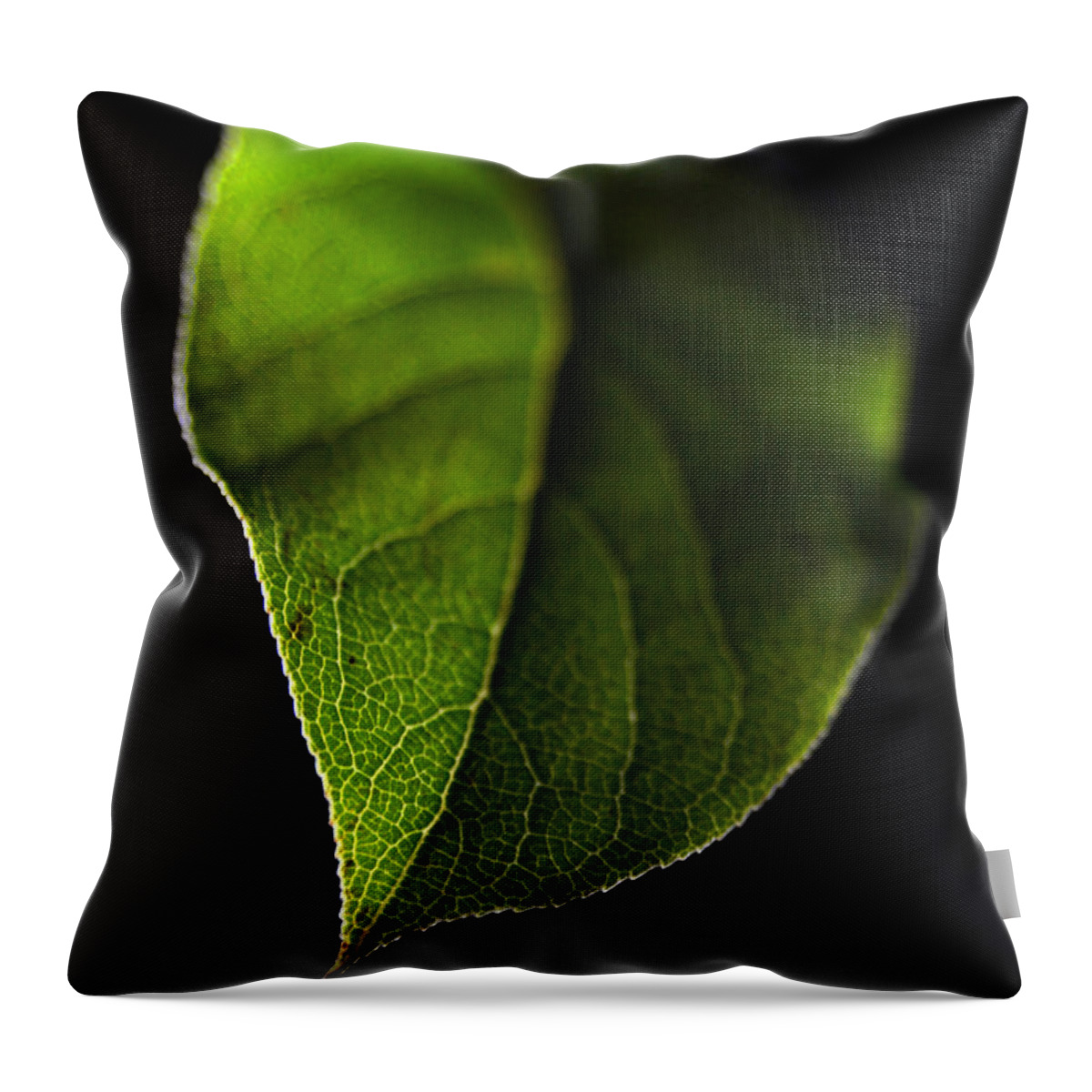 Leaf Throw Pillow featuring the photograph Luminous Leaf by Dan Holm