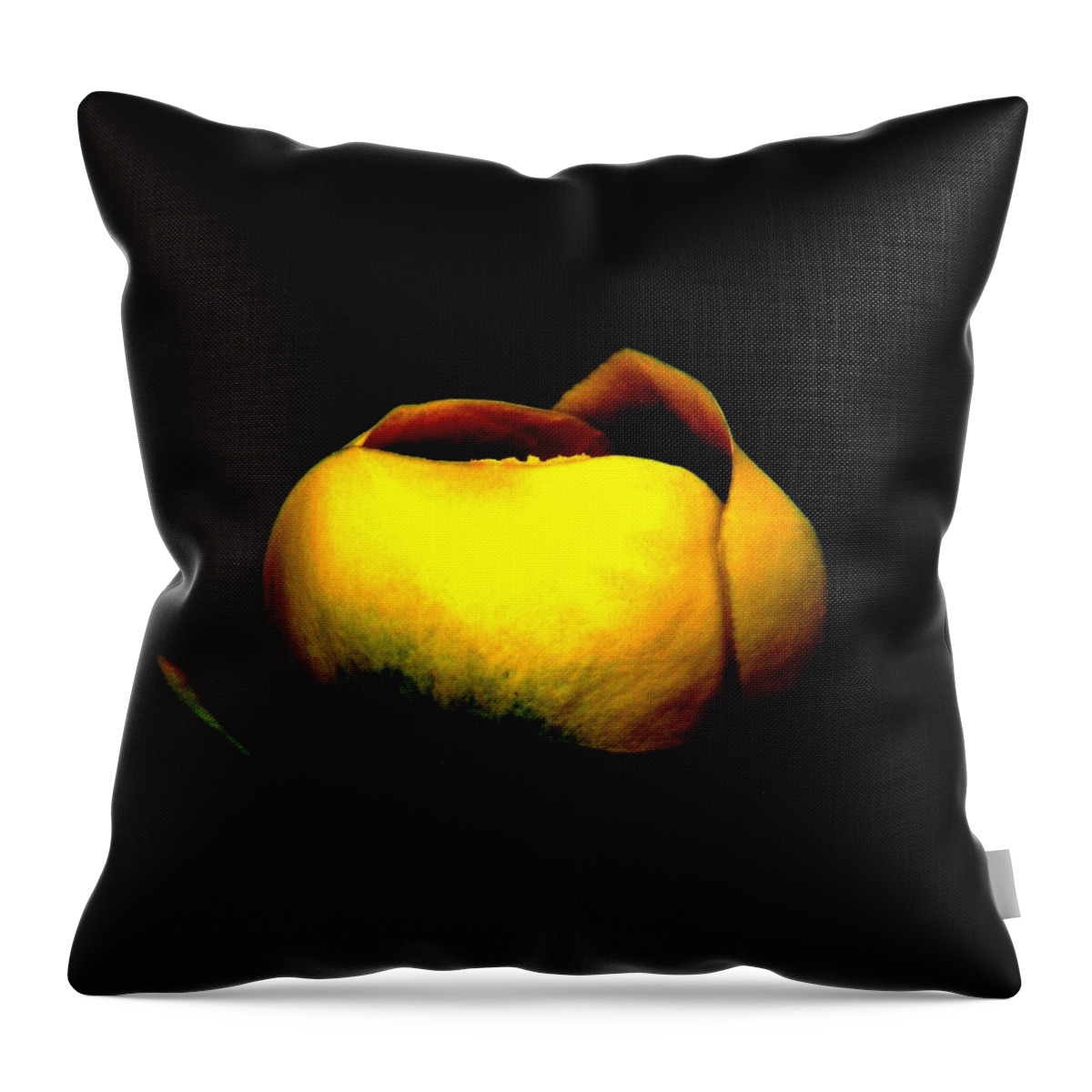 Yellow Lotus Throw Pillow featuring the photograph Luminous Lotus by Angela Davies