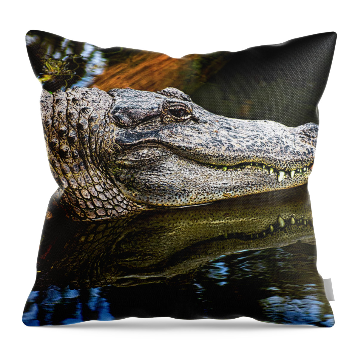Alligator Throw Pillow featuring the photograph Lump On A Log by Christopher Holmes