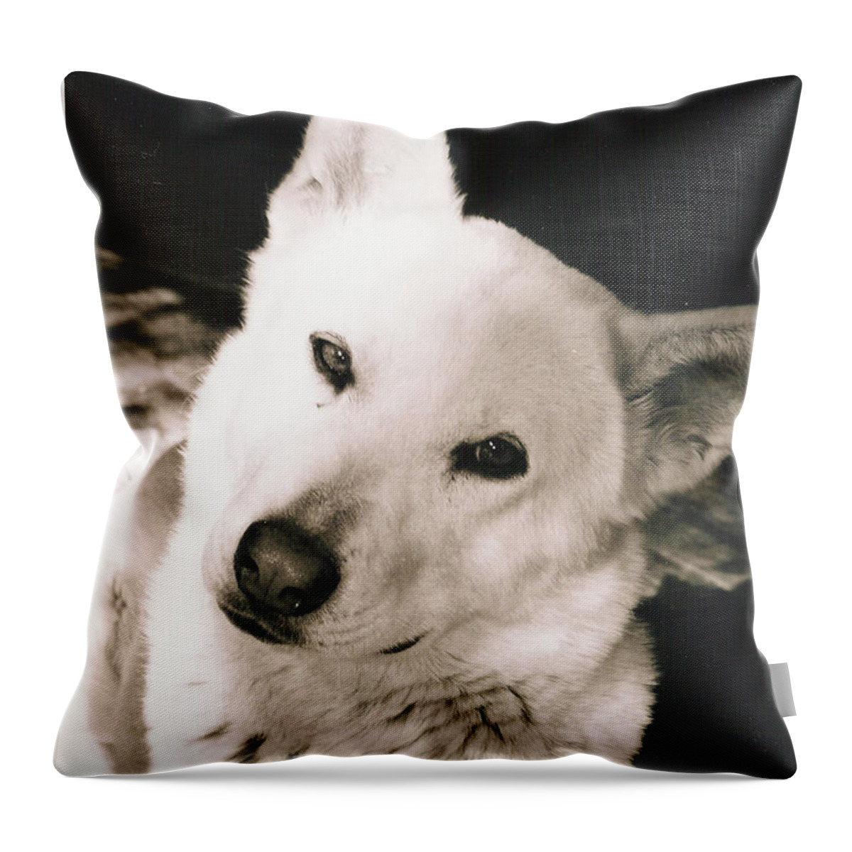 Dog Throw Pillow featuring the photograph Luna Love by Sandra Dalton