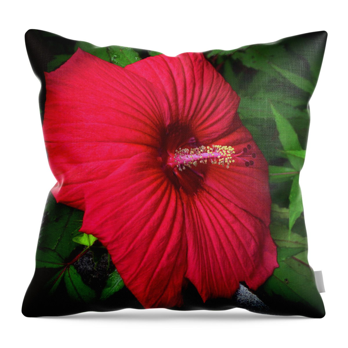 Macro Throw Pillow featuring the photograph Luna Red Hibiscus 009 by George Bostian
