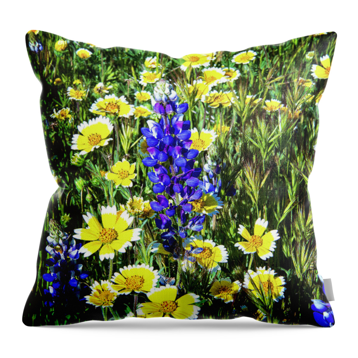 Lupine Throw Pillow featuring the photograph Lupine Amidst Tidy Tips by Lynn Bauer
