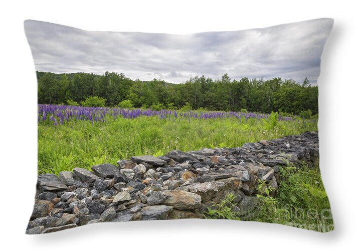 Annual Celebration Of Lupines Throw Pillow featuring the photograph Lupine Field - Sugar Hill New Hampshire by Erin Paul Donovan