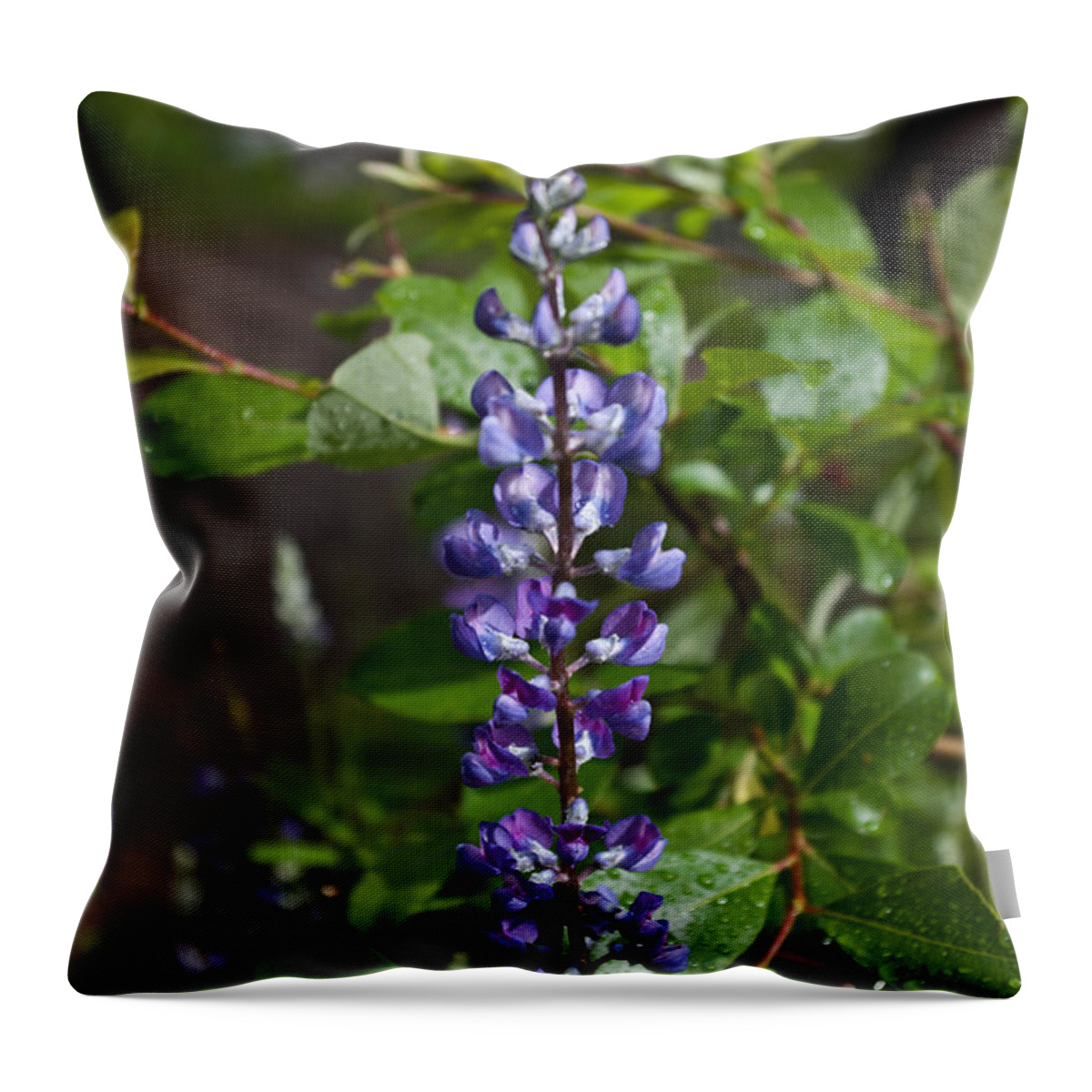 Leaf Throw Pillow featuring the photograph Lupine by Jedediah Hohf