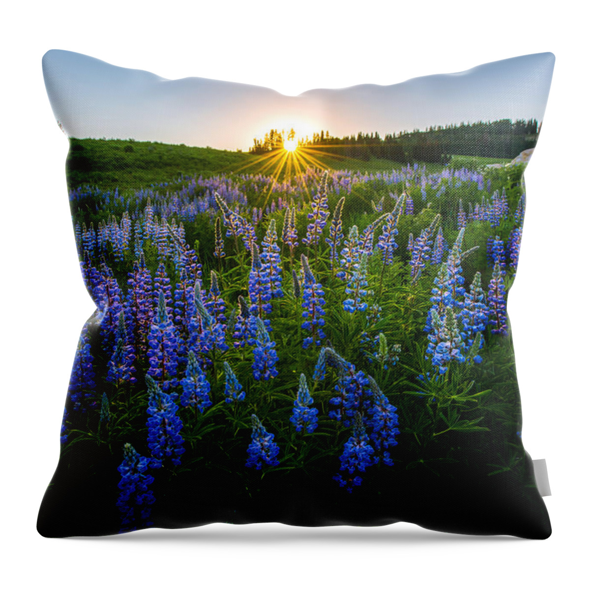Lupine Throw Pillow featuring the photograph Lupine Meadow by Dustin LeFevre