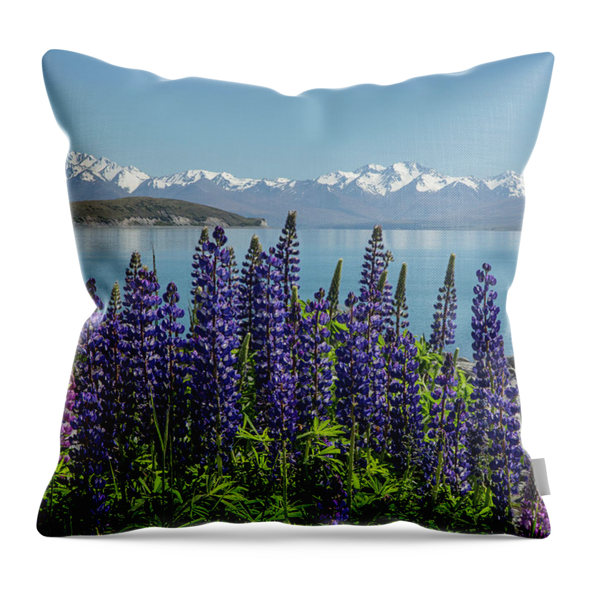 New Zealand Throw Pillow featuring the photograph Lupines at Lake Tekapo by Cheryl Strahl