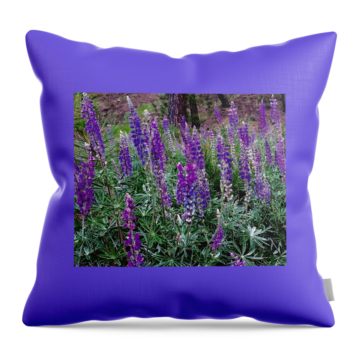 Lupines Throw Pillow featuring the painting Lupines Stand Proud by Jennifer Lake