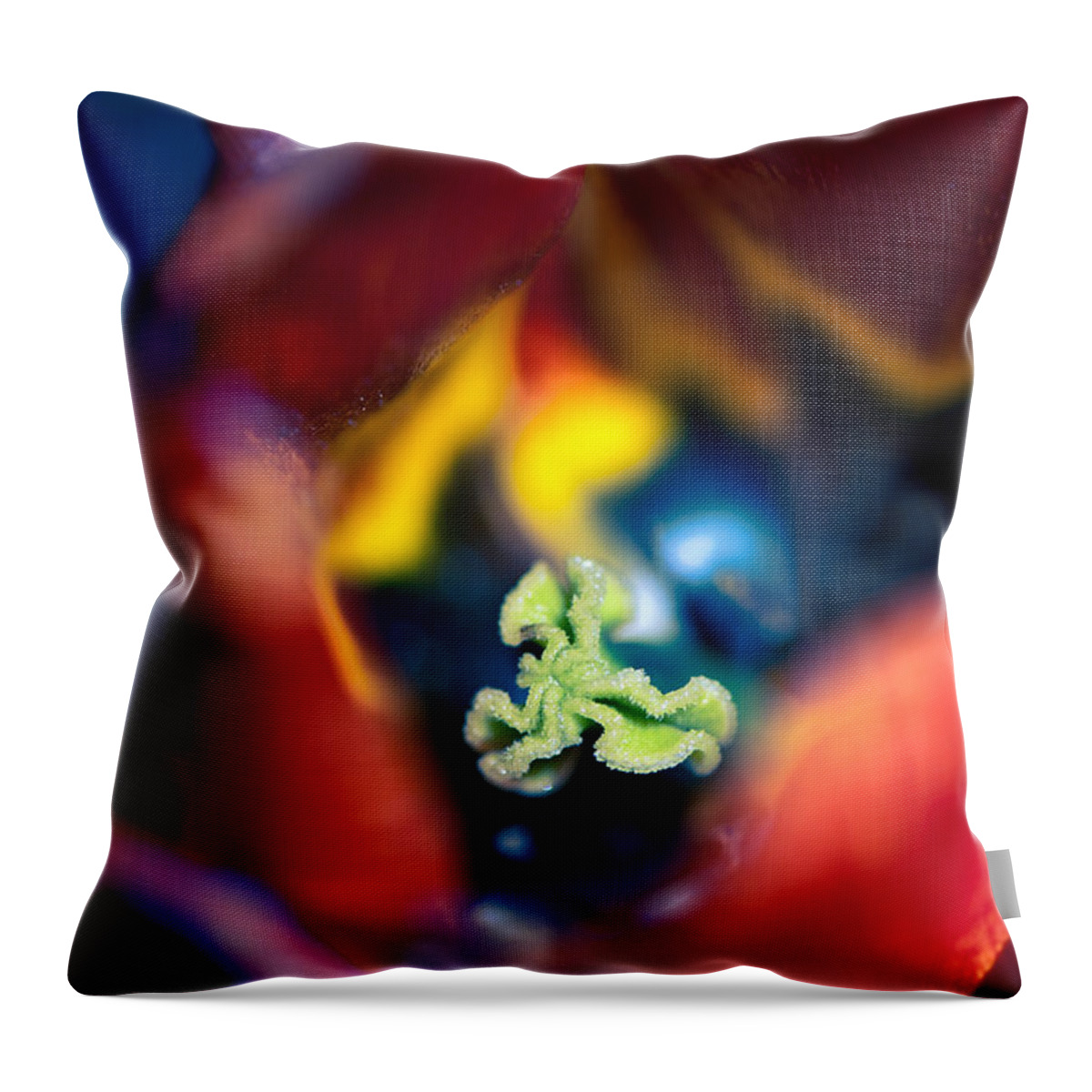 Beauty In Nature Throw Pillow featuring the photograph Luscious Kaleidoscope by Venetta Archer