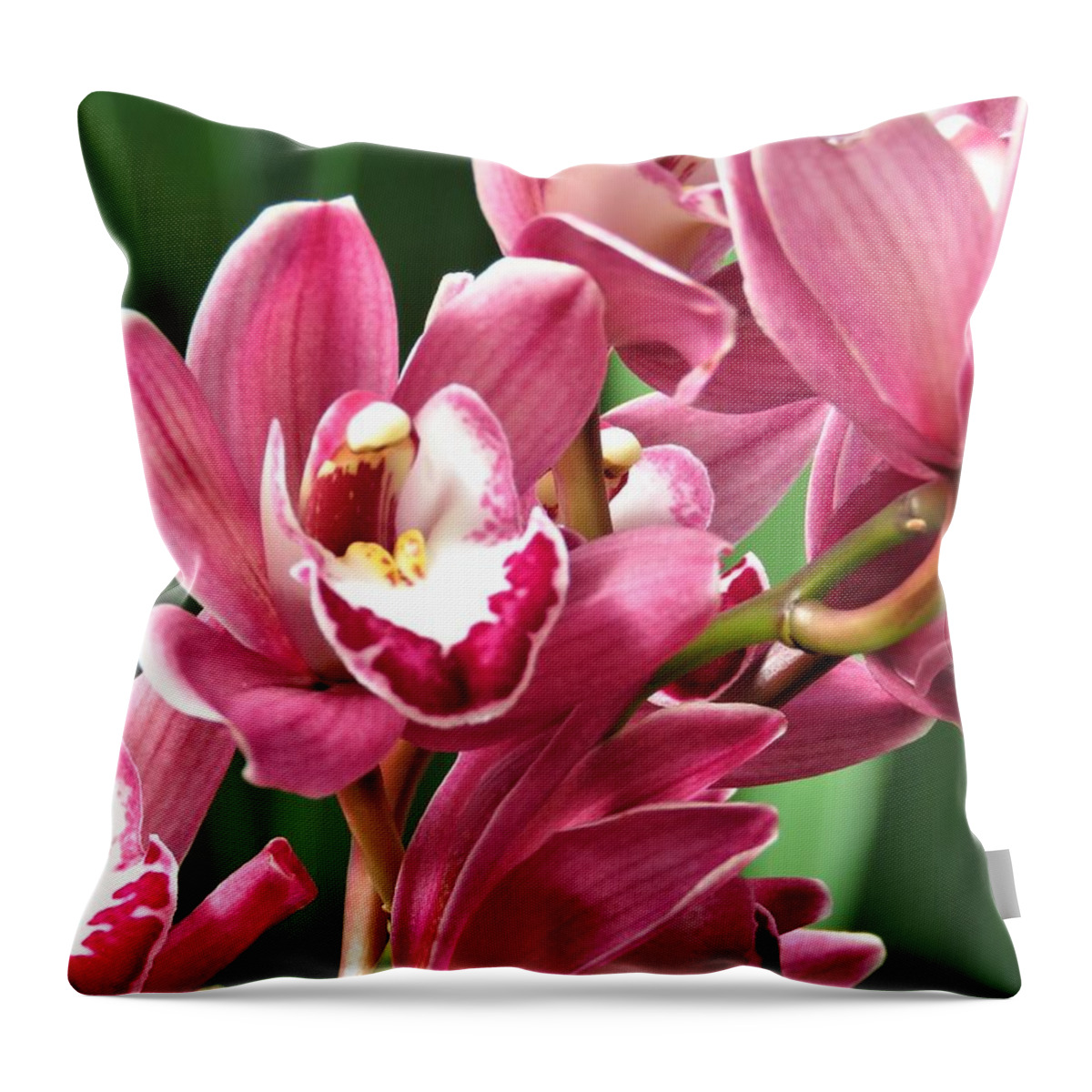 Orchids Throw Pillow featuring the photograph Luscious Orchids by Anita Adams