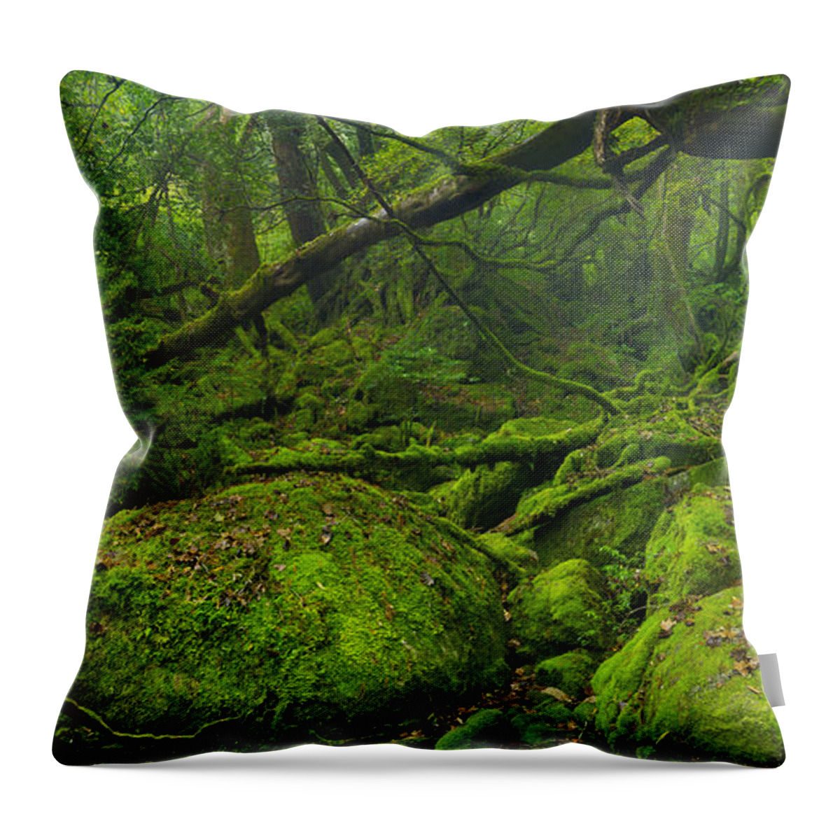 Yakushima Throw Pillow featuring the photograph Lush rainforest along Shiratani Unsuikyo trail on Yakushima Isla by Sara Winter
