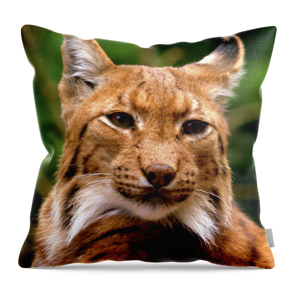Cat Throw Pillow featuring the photograph Lynx Portrait by Stephen Melia