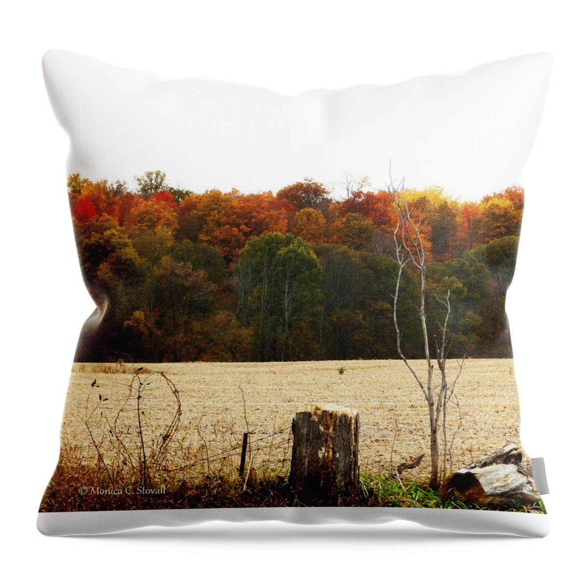 Fall Colors Throw Pillow featuring the photograph M Landscapes Fall Collection No. LF66 by Monica C Stovall