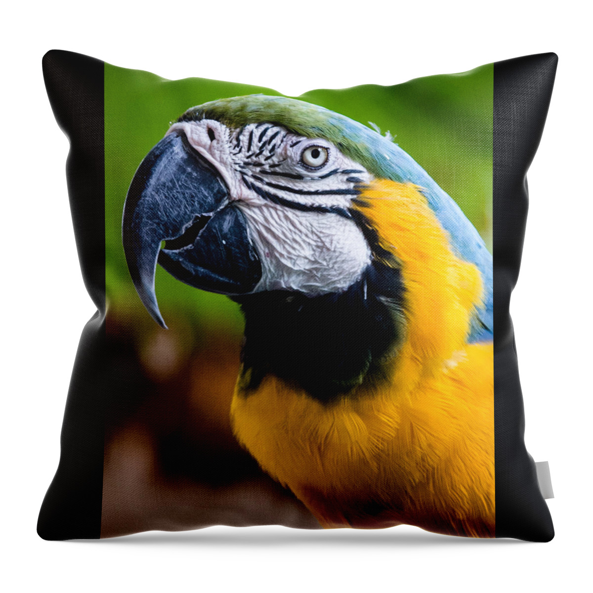 Duke Throw Pillow featuring the photograph Duke Macaw by Alan Hart