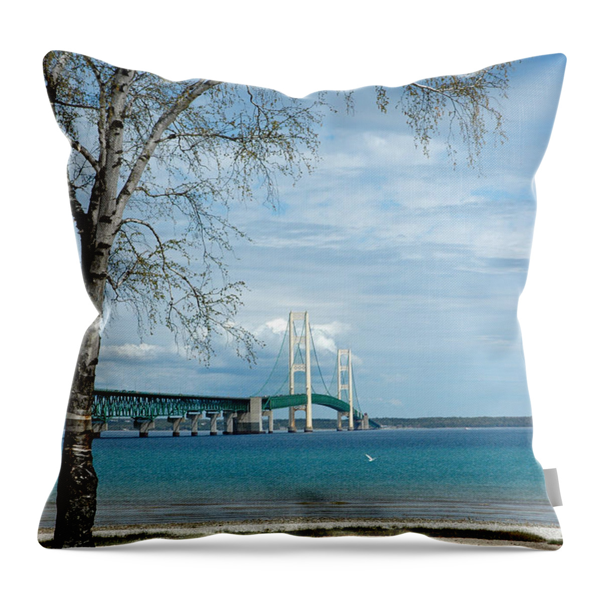 Usa Throw Pillow featuring the photograph Mackinac Bridge Park by LeeAnn McLaneGoetz McLaneGoetzStudioLLCcom