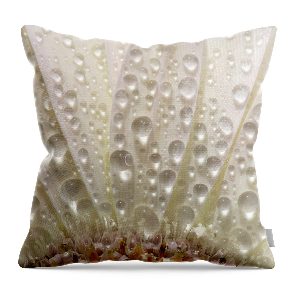 Daisy Throw Pillow featuring the digital art Macro close up of a daisy flower by Mark Duffy