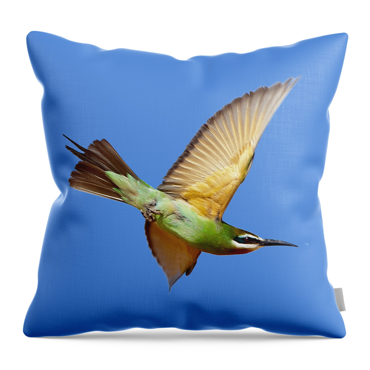 Bee-eater Throw Pillow featuring the photograph Madagascar Bee-eater T-shirt by Tony Mills