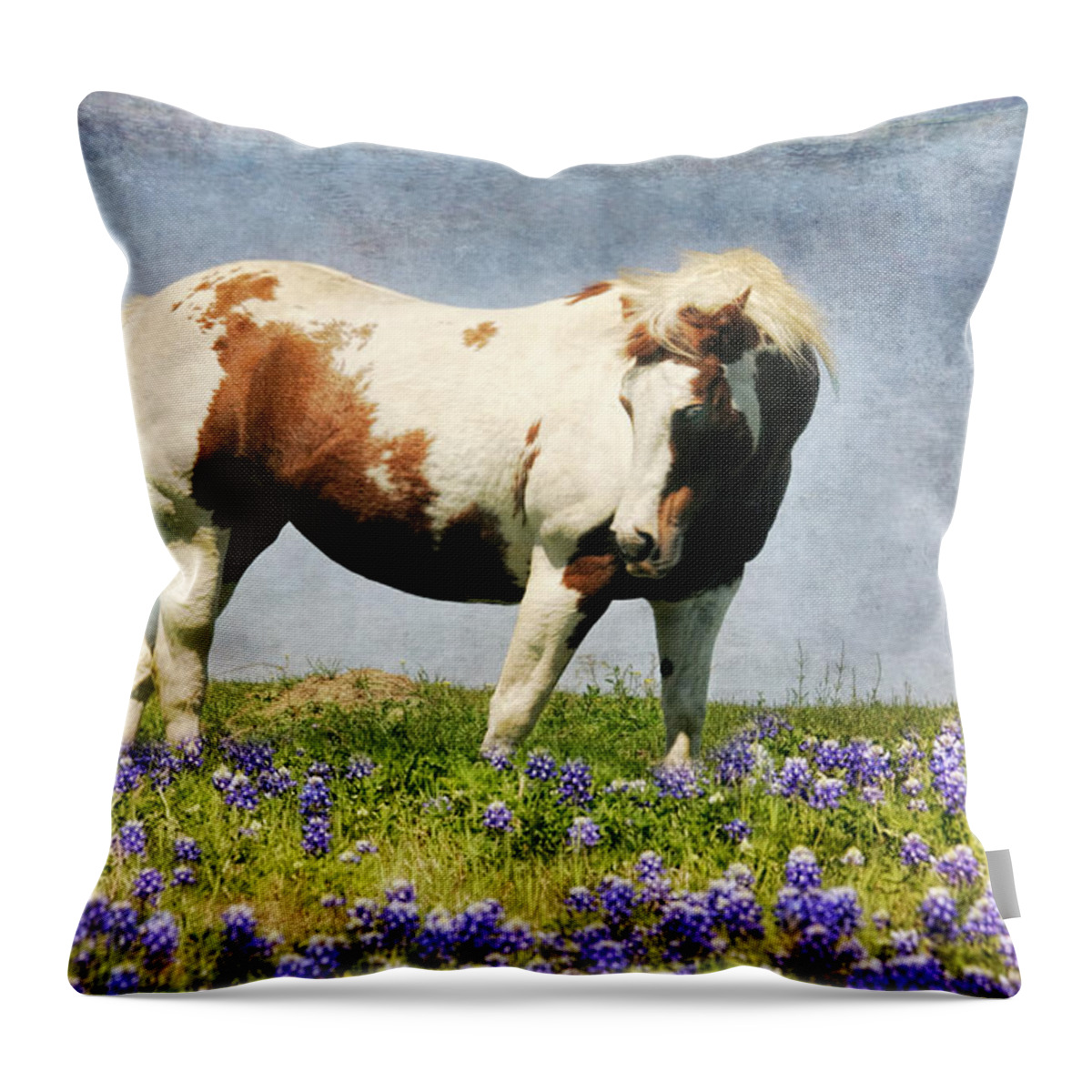Horse Throw Pillow featuring the photograph Made With Love from Texas by Joan Bertucci