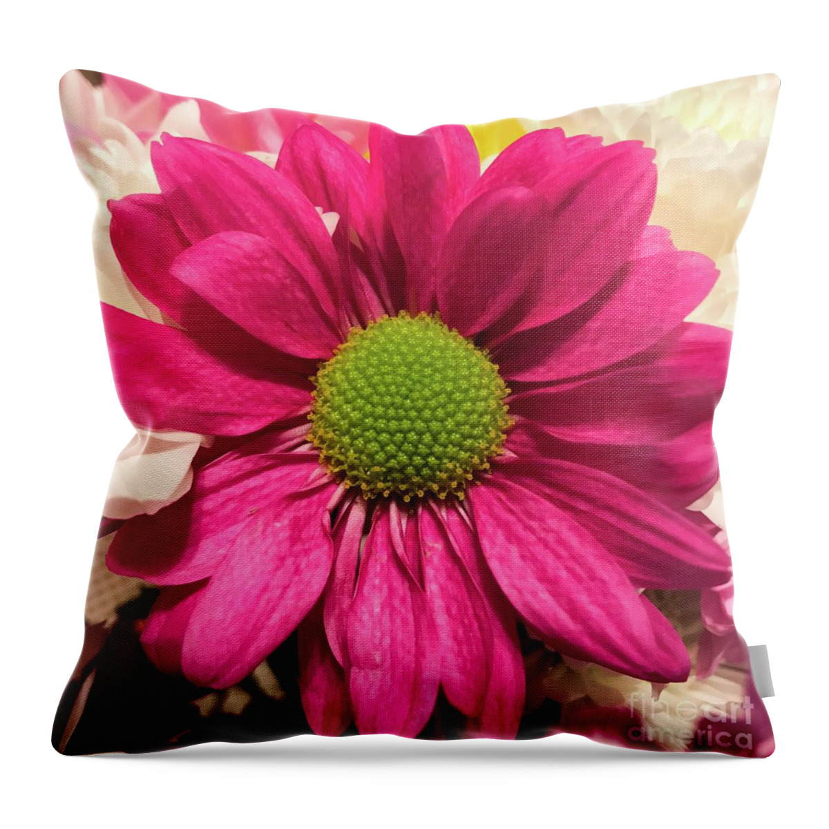 Mum Plant Throw Pillow featuring the photograph Magenta Chrysanthemum by CAC Graphics