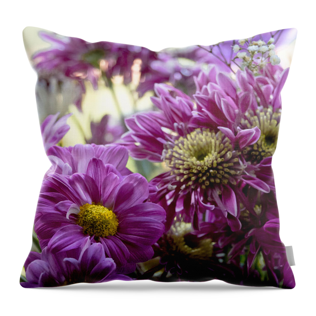 Magenta Throw Pillow featuring the photograph Magenta Gerberas in daylight. by Elena Perelman