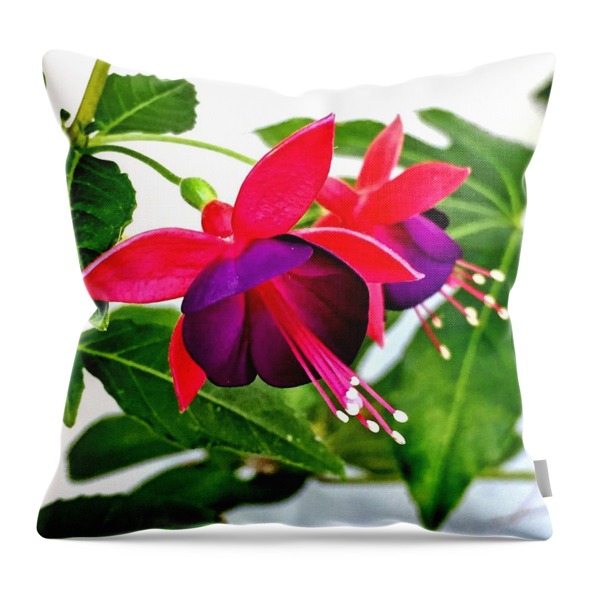 Flowers Throw Pillow featuring the photograph Magic Dancers by Brad Hodges
