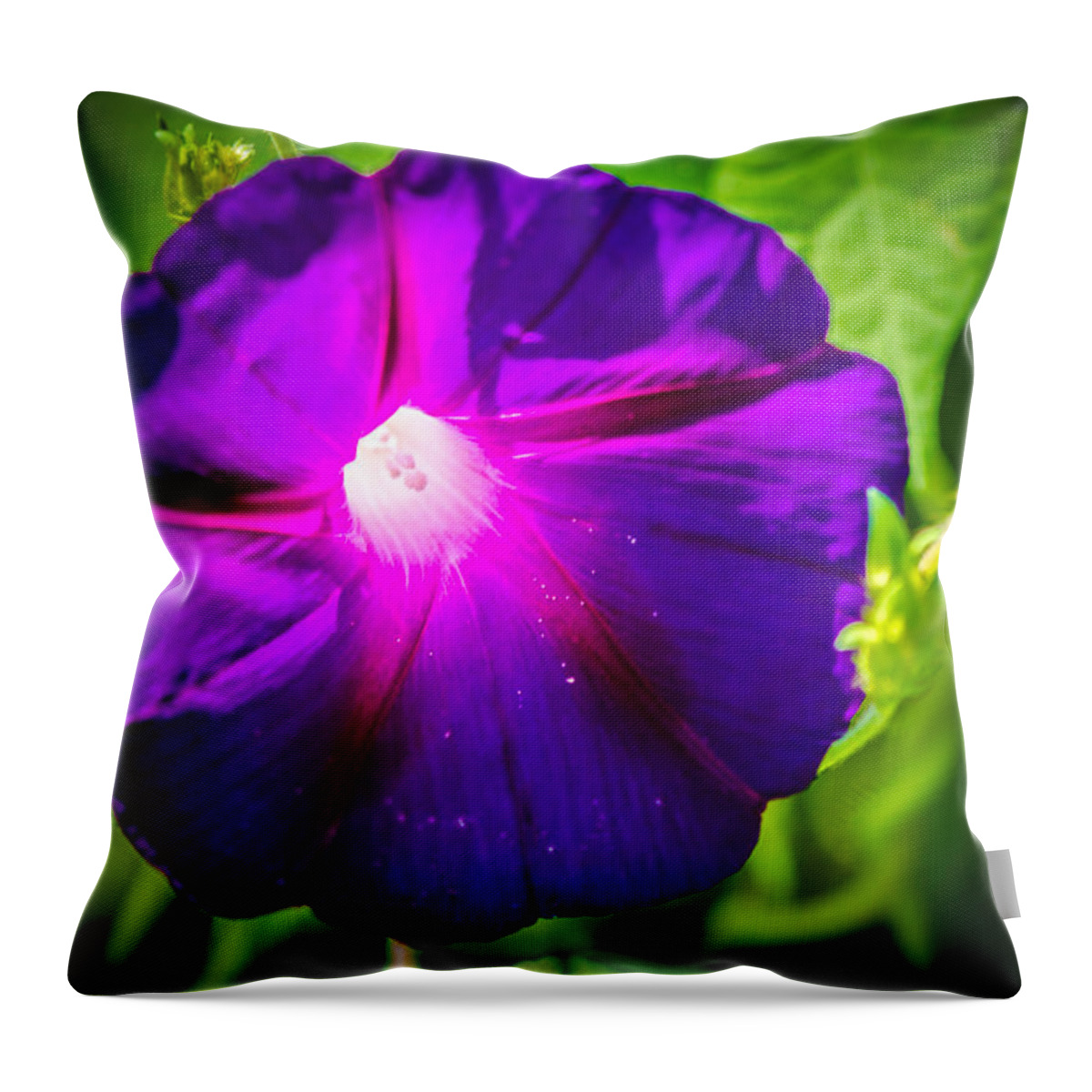 Flower Throw Pillow featuring the photograph Magic Flower by Bruce Pritchett