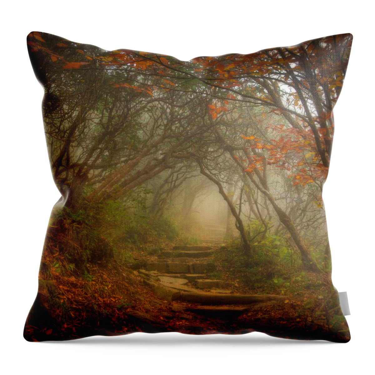 Asheville Throw Pillow featuring the photograph Magic Forest by Joye Ardyn Durham