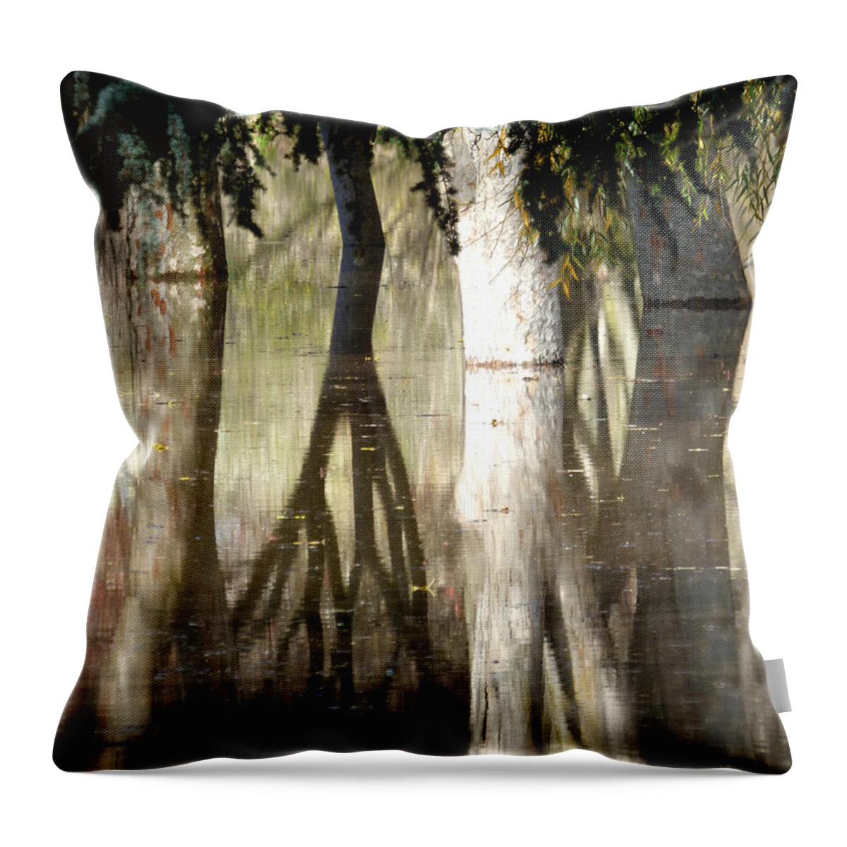 Water Throw Pillow featuring the photograph Magic in the Park by Pamela Patch