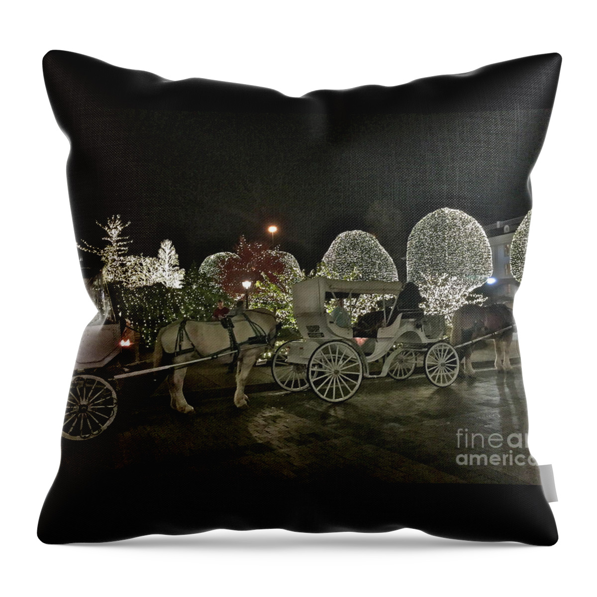 Carriage Ride Throw Pillow featuring the photograph Magical Carriage Ride by Barbara Plattenburg