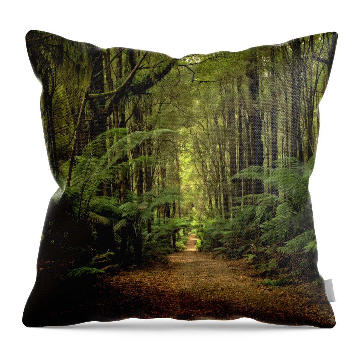 Rainforest Throw Pillow featuring the photograph Magical Forest by Catherine Reading