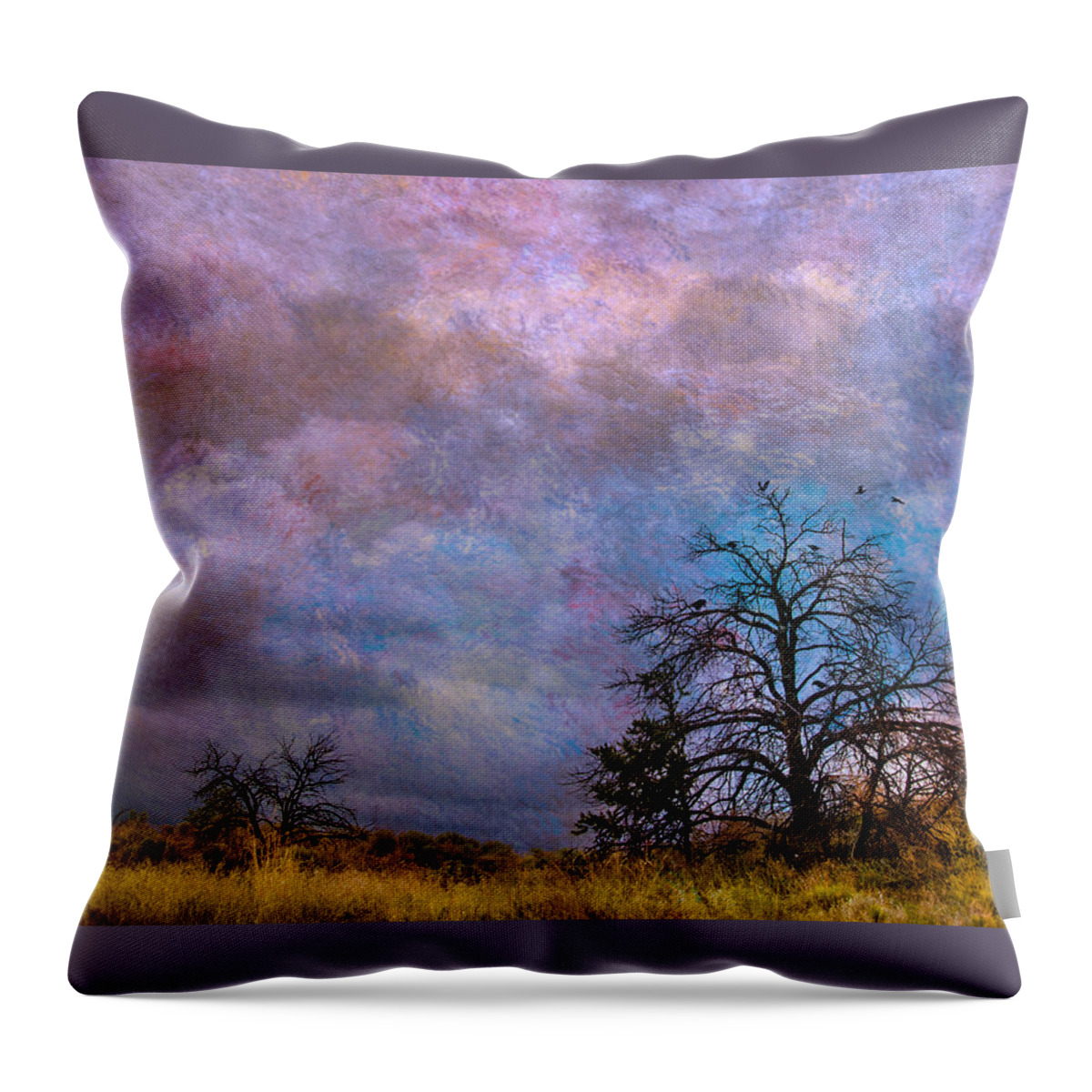 Trees Throw Pillow featuring the photograph Magical sky by Carolyn D'Alessandro