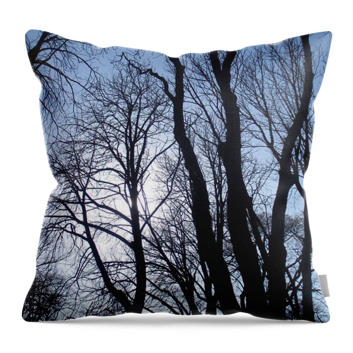 Trees Throw Pillow featuring the photograph Magnificent Trees by Anamarija Marinovic