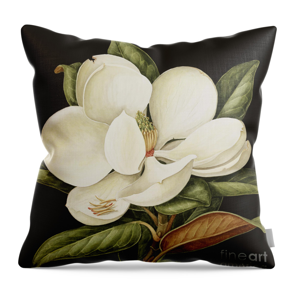 Still-life Throw Pillow featuring the painting Magnolia Grandiflora by Jenny Barron