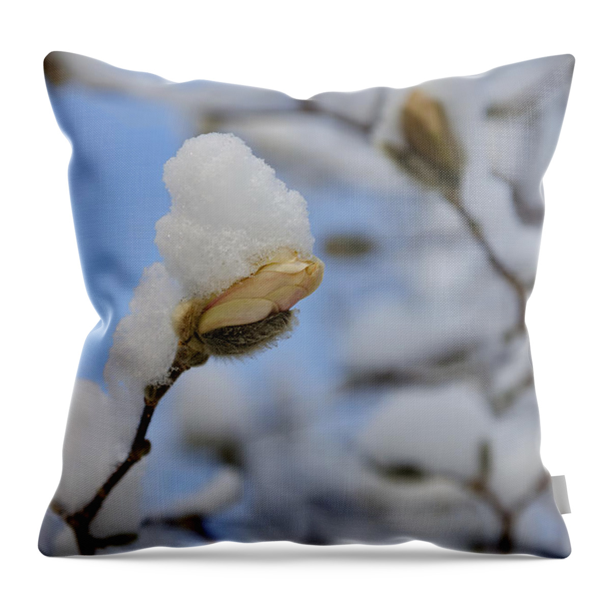 Macro Throw Pillow featuring the photograph Magnolia In Snow I by Marianne Campolongo