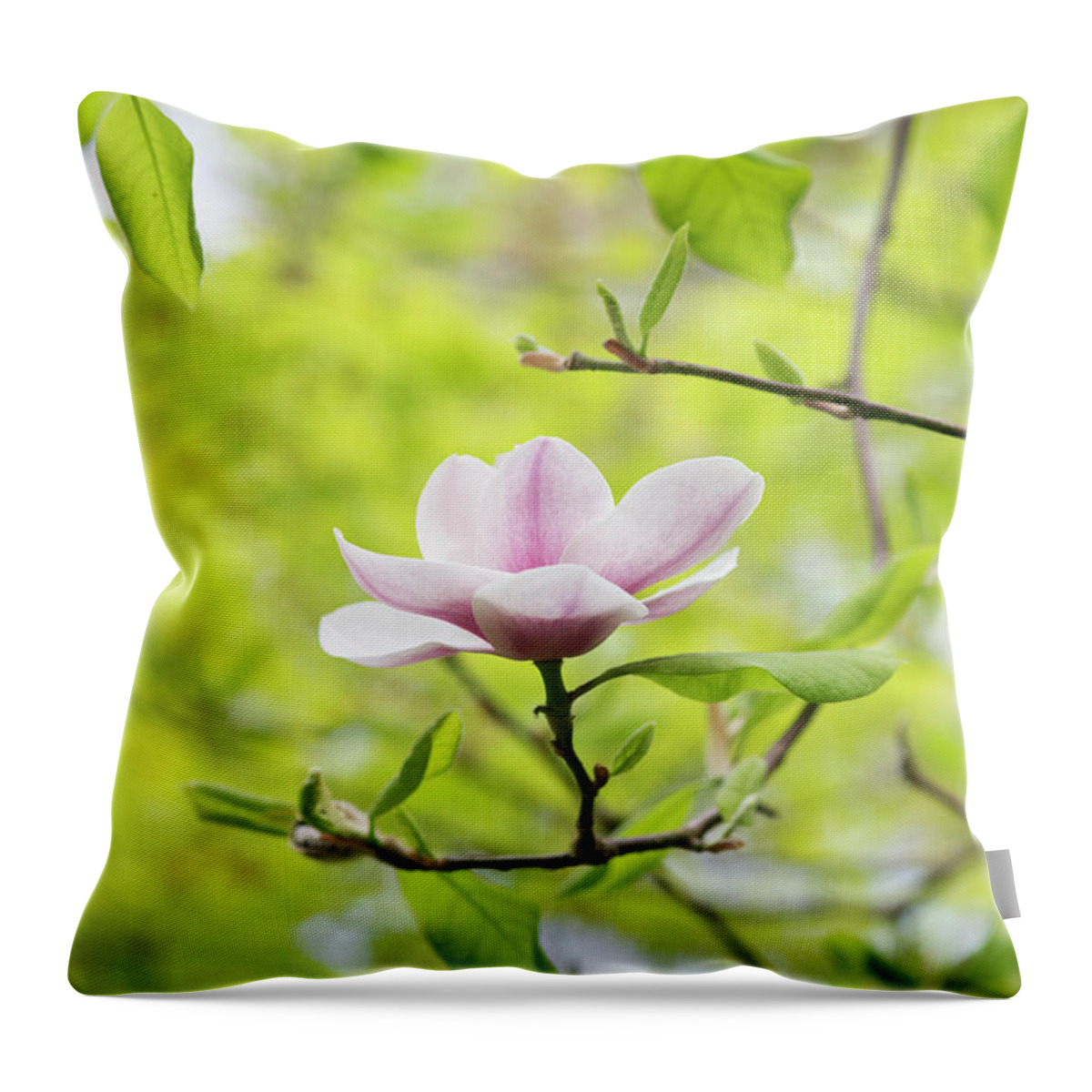 Magnolia Purple Platter Throw Pillow featuring the photograph Magnolia Purple Platter Flower by Tim Gainey
