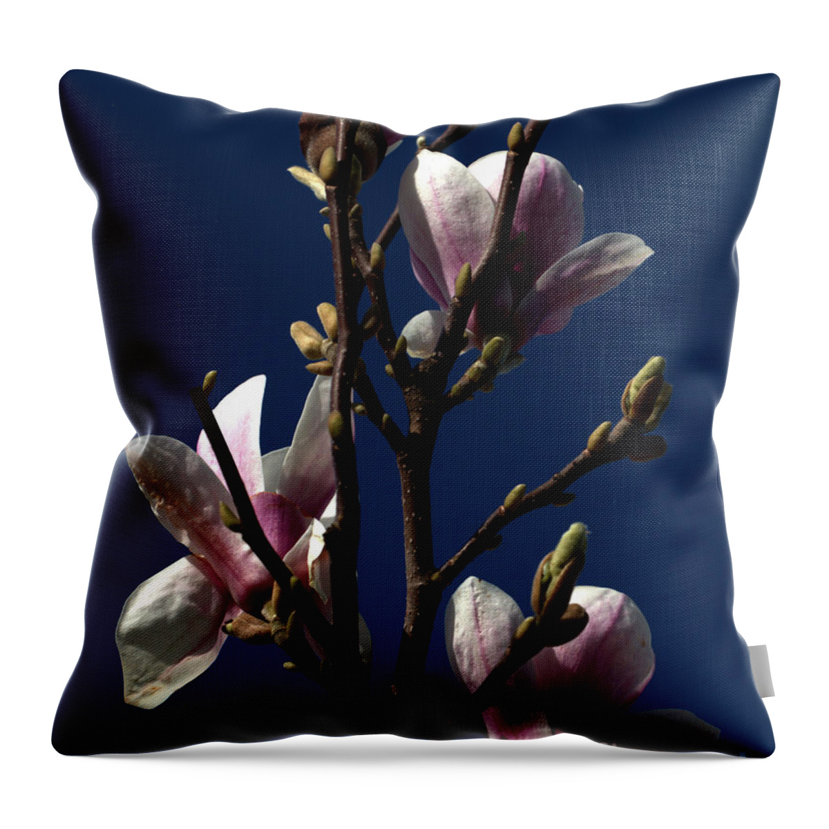 Flora Throw Pillow featuring the photograph Magnolia Tree by Stephen Melia