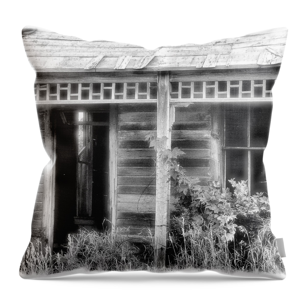 Enhanced Photo Throw Pillow featuring the photograph Maiden History 2 by Susan Kinney