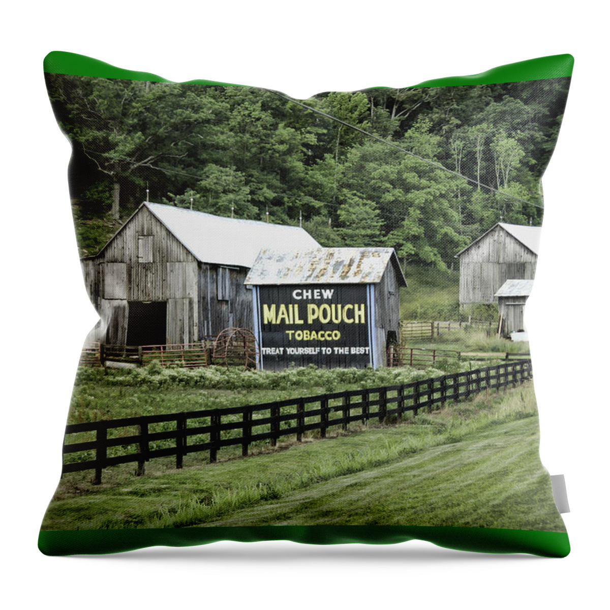 Mail Pouch Tobacco Barn Throw Pillow featuring the photograph Mail Pouch Tobacco Barn by Phyllis Taylor