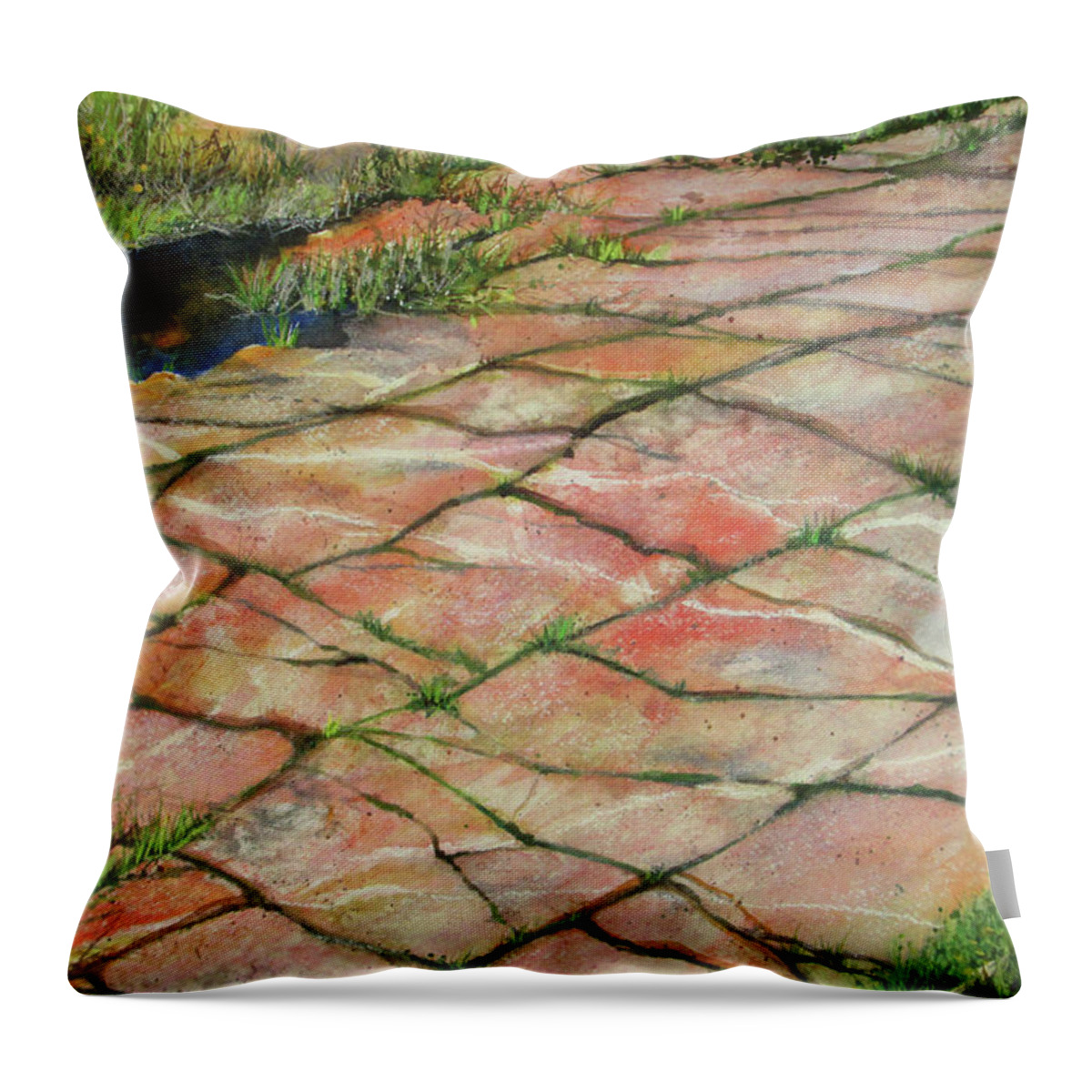 Maine Throw Pillow featuring the painting Maine Coast Lines by Susan Herbst