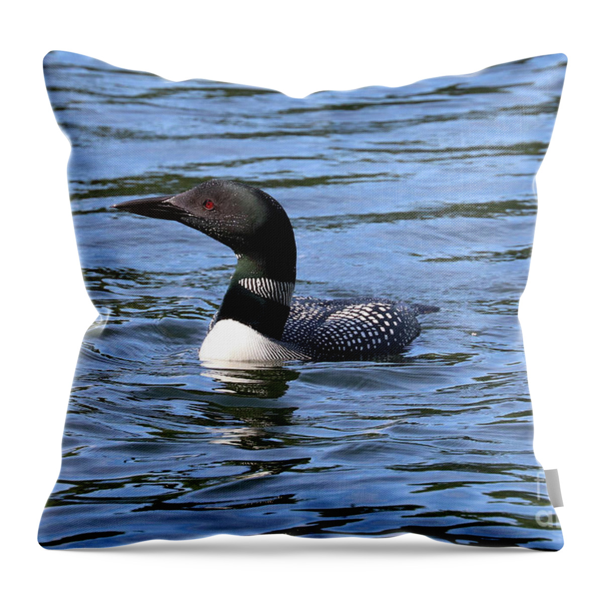 Common Loon Throw Pillow featuring the photograph Maine Common Loon - Woodbury Pond by Sandra Huston