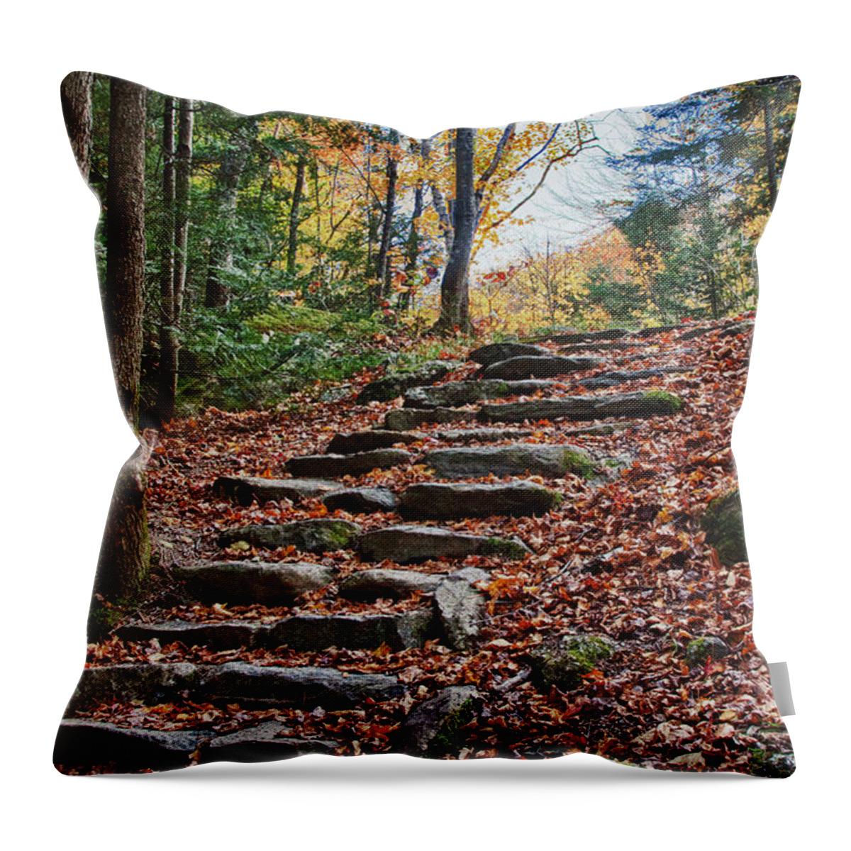 Autumn Foliage New England Throw Pillow featuring the photograph Maine fall foliage by Jeff Folger