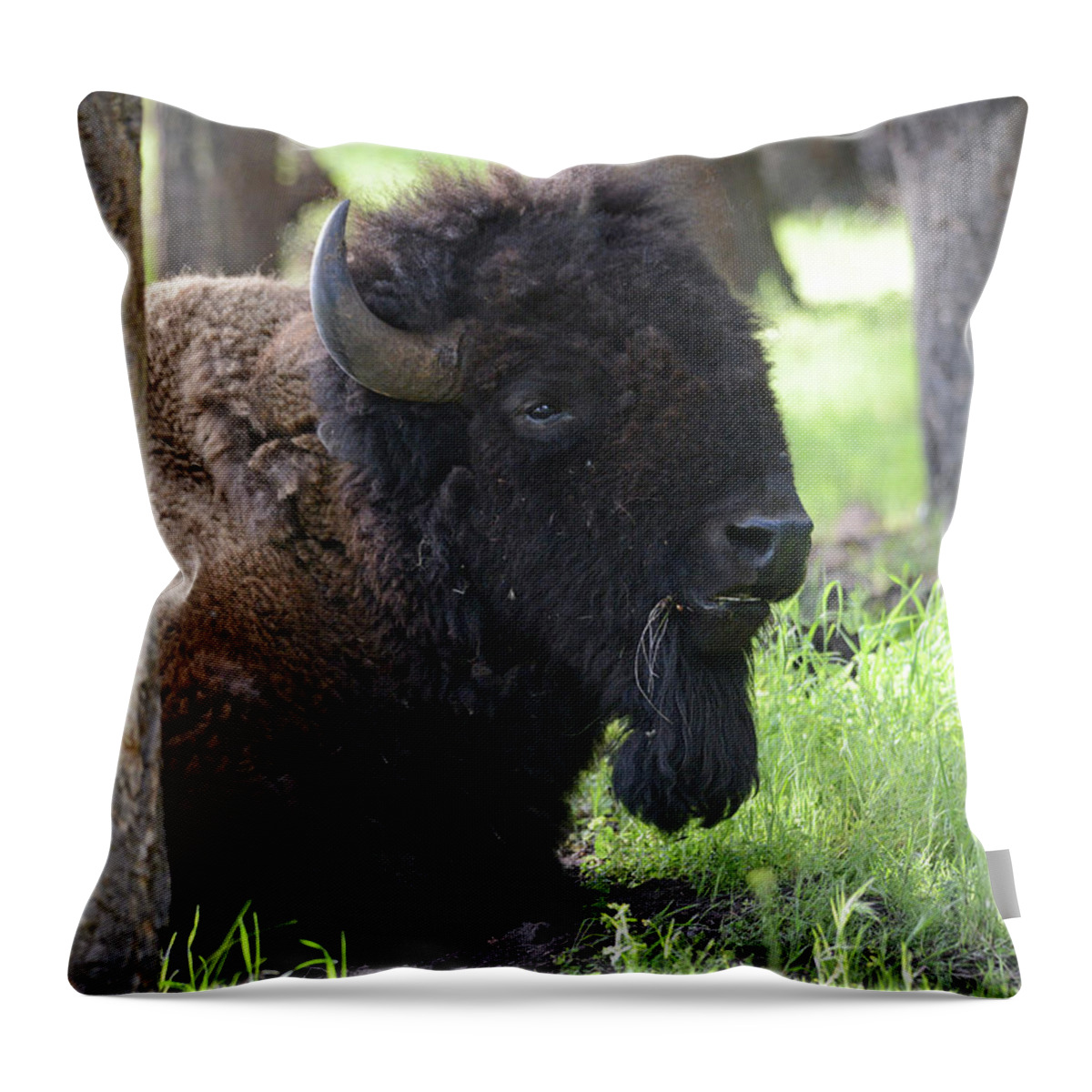 Bison Throw Pillow featuring the photograph Majestic Bison by Whispering Peaks Photography