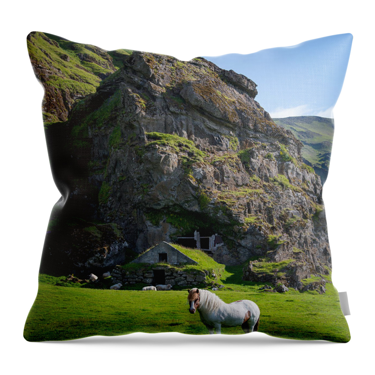 Icelandic Horse Throw Pillow featuring the photograph Majestic White Horse by Michael Ver Sprill